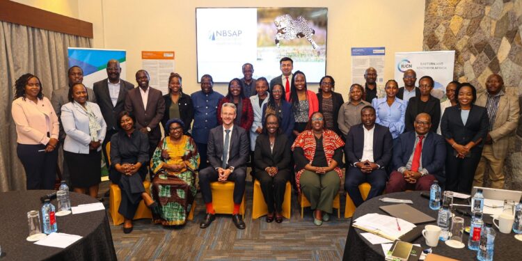 Environnement : Le Kenya intensifie ses efforts pour préserver sa biodiversité