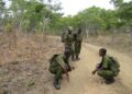Conservation de la nature : La SADC forme des gestionnaires de la faune et des gardes forestiers