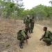 Conservation de la nature : La SADC forme des gestionnaires de la faune et des gardes forestiers
