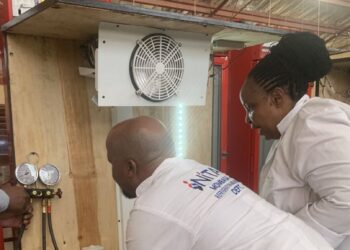 Transition climatique / Botswana : Un projet ouvre l&rsquo;accès au marché mondial du carbone