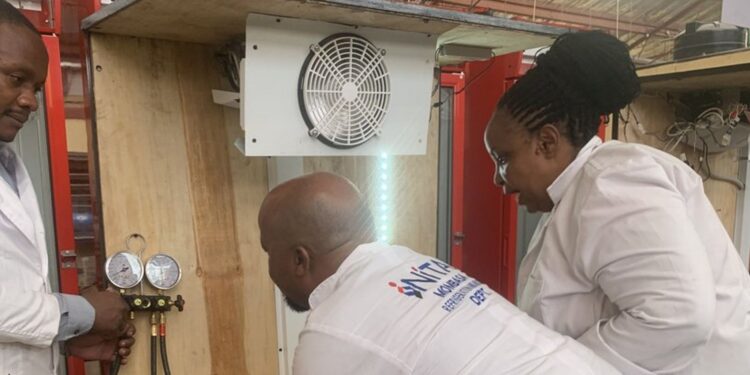Transition climatique / Botswana : Un projet ouvre l&rsquo;accès au marché mondial du carbone