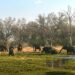 Protection de la nature : La Fondation Matto Barfuss s’installe au Botswana