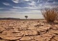 Changement climatique : Une étude retrace 10 800 ans de pluies et de sécheresses au Sahara