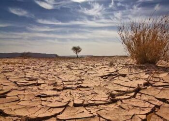Changement climatique : Une étude retrace 10 800 ans de pluies et de sécheresses au Sahara