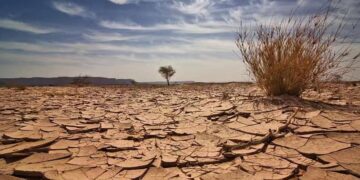 Changement climatique : Une étude retrace 10 800 ans de pluies et de sécheresses au Sahara