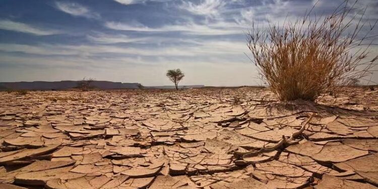 Changement climatique : Une étude retrace 10 800 ans de pluies et de sécheresses au Sahara