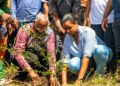 🇬🇳Reboisement à Faranah : 200 plants mis en terre contre le réchauffement climatique