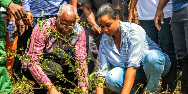 🇬🇳Reboisement à Faranah : 200 plants mis en terre contre le réchauffement climatique