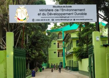 Guinée : Arrete des activités de la coupe et du transport de bois dans le cadre du repos biologique