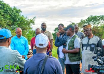 Guinée/Timbi Madina : des centaines d’hectares de pommes de terre ravagés par les pluies