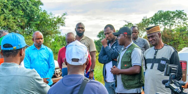 Guinée/Timbi Madina : des centaines d’hectares de pommes de terre ravagés par les pluies