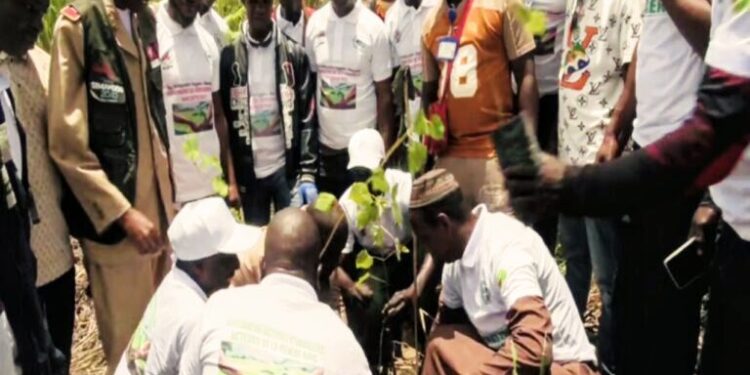 Guinée / Environnement : Les professionnels du bois engagés dans la restauration des zones dégradées