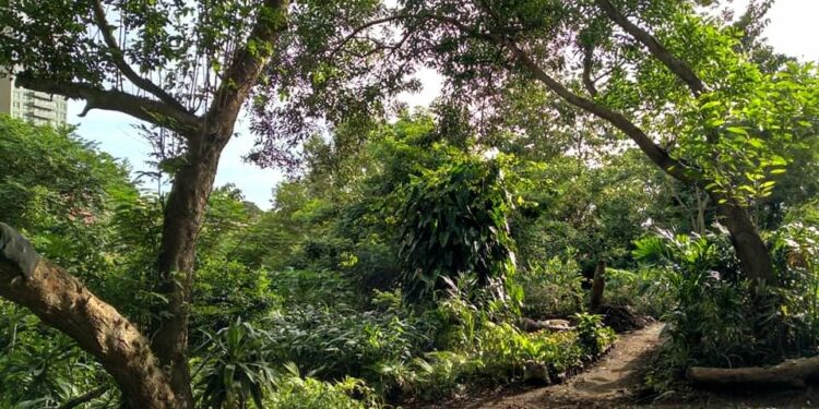 Conakry : Échange sur les enjeux liés à la protection du patrimoine forestier de Kakimbo