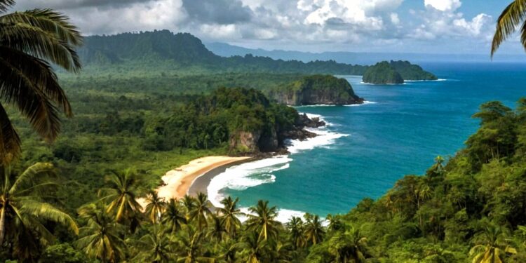 🇬🇳Ministère de l’Environnement : Fassou Théa durcit le ton sur le respect des normes écologiques