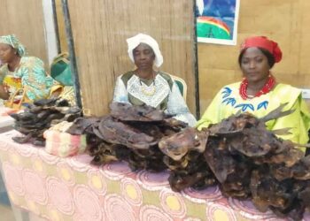 Guinée : Lancements de la 4e édition du Forum de l’Entrepreneuriat et du Leadership Féminin en Guinée