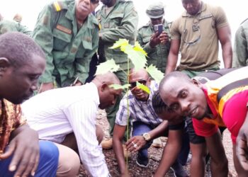 Guinée : Siguiri lance sa campagne de reboisement pour protéger l’environnement