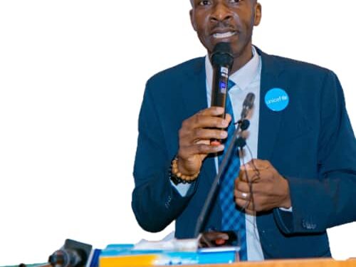 Santé : Le REMAPSEN et l’UNICEF discutent des enjeux de l’allaitement maternel