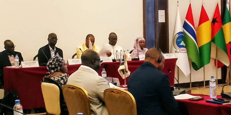 Coopération régionale : La 51e session ministérielle de l’OMVG à Conakry marque un tournant décisif pour l’énergie et le développement