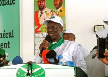 Présidentielle du 28 décembre : Le PUP annonce son soutien à Mamadi Doumbouya