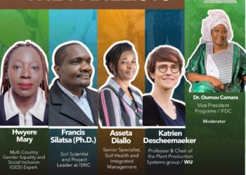Webinaire de l’IFDC : « Sols sains pour un avenir résilient » – Une journée consacrée à la santé des sols et à l’action collective pour la sécurité alimentaire en Afrique