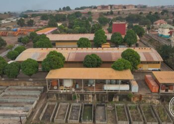 Industrie-PME /Relance industrielle : L&rsquo;usine Guinéea Fruit Corporation de Kankan au coeur de la dynamique