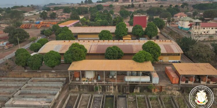 Industrie-PME /Relance industrielle : L&rsquo;usine Guinéea Fruit Corporation de Kankan au coeur de la dynamique