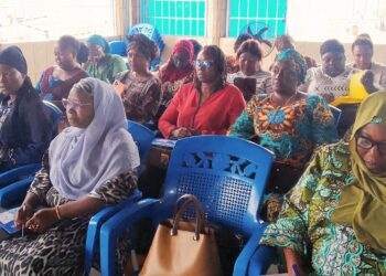 🇬🇳Conakry : CEGUIFED outille 20 sages-femmes sur la santé sexuelle et reproductive pour renforcer le projet SRMNIA-Nut