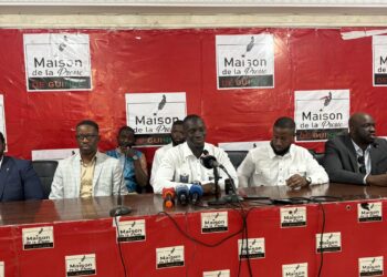 Guinée : La diaspora guinéenne mobilise autour du projet Simandou