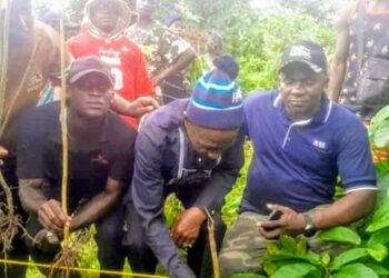 Guinée : 2 600 arbres plantés à Moussayah pour marquer la Journée Internationale de la Jeunesse