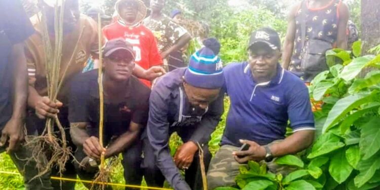 Guinée : 2 600 arbres plantés à Moussayah pour marquer la Journée Internationale de la Jeunesse