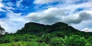 🇬🇳Coyah : Un site forestier déclassé pour la gestion des déchets