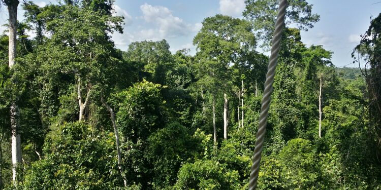 🇬🇳Vers la Journée Mondiale de l’Environnement : Mere Nature mobilise autour de la sensibilisation