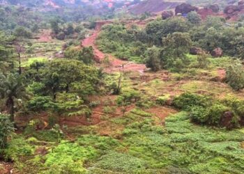 🇬🇳Guinée – Lélouma : La société civile tire la sonnette d’alarme sur la destruction de l’environnement