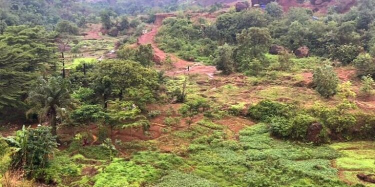 🇬🇳Guinée – Lélouma : La société civile tire la sonnette d’alarme sur la destruction de l’environnement
