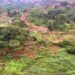 🇬🇳Guinée – Lélouma : La société civile tire la sonnette d’alarme sur la destruction de l’environnement