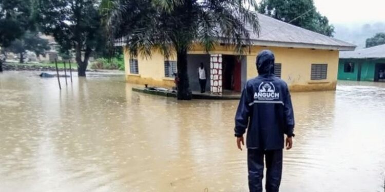 Inondations en Guinée : Le marigot Zazazia déborde et ravage plusieurs quartiers