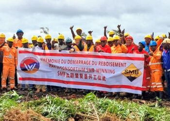 Guinée : Le Consortium SMB-Winning met en terre 10.000 plants pour réhabiliter 400 hectares sur la mine de Dabiss