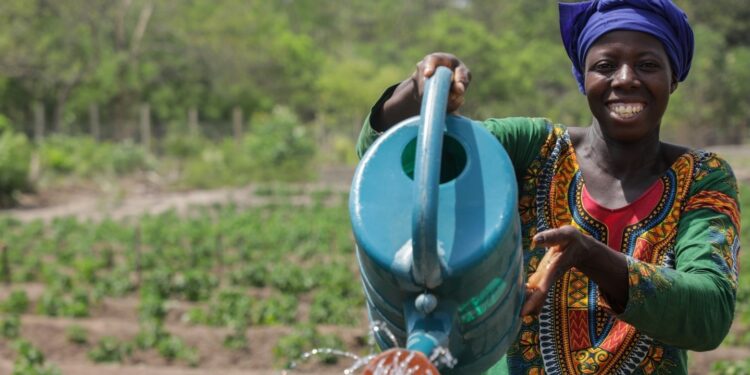 Guinée : Lancement de la plateforme digitale E-VOUCHER pour moderniser la gestion des intrants agricoles