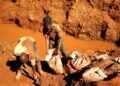 🇬🇳Guinée : Un éboulement dans une mine d’or fait 8 morts et laisse 2 personnes portées disparues