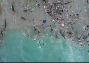 Guinée : Le Ministère de l’Environnement préoccupé par la lutte contre toutes les formes de pollution