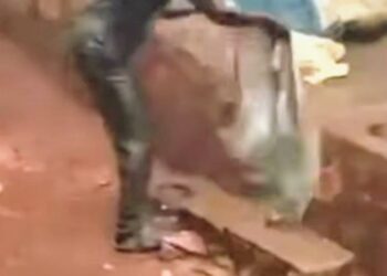 Conakry : L&rsquo;Agence Nationale de l&rsquo;Assainissement et de la Salubrité Publique dénonce un acte incivique !