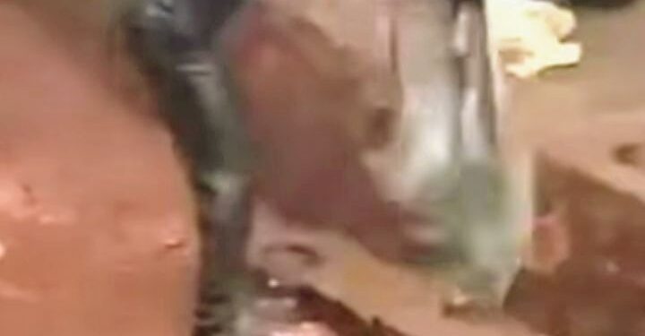 Conakry : L&rsquo;Agence Nationale de l&rsquo;Assainissement et de la Salubrité Publique dénonce un acte incivique !