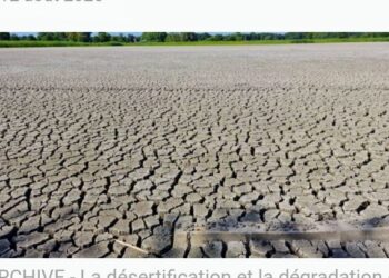 Environnement : Un partenariat pour restaurer 80 000 hectares de terres dégradées au Sénégal