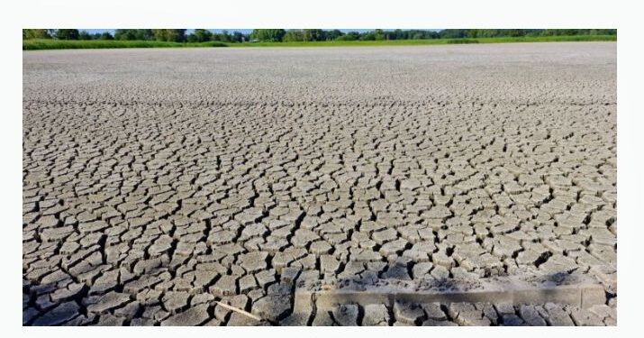 Environnement : Un partenariat pour restaurer 80 000 hectares de terres dégradées au Sénégal