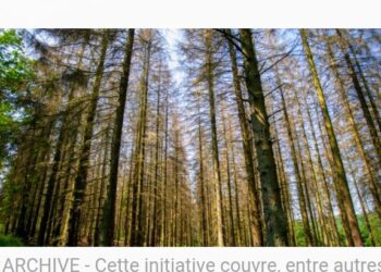 Préservation de la nature : Un projet de l’UE pour préserver le bloc forestier ivoiro-libérien