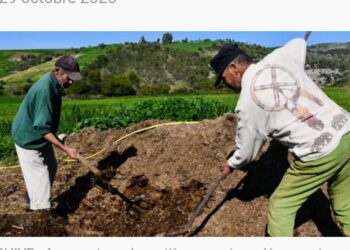 Résilience climatique : L’Allemagne appuie un projet de protection des sols en Tunisie