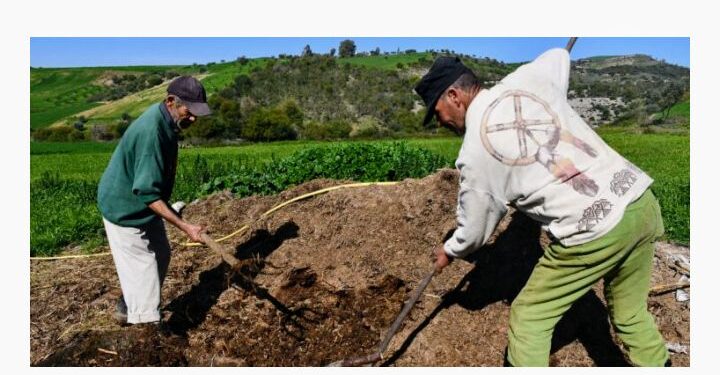 Résilience climatique : L’Allemagne appuie un projet de protection des sols en Tunisie