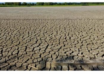 Sécurité alimentaire : Lancement d’un projet de résilience climatique dans le Sahel