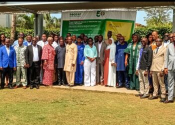 ENERGIE SOLAIRE/ Guinée : Tenue d&rsquo;un atelier national multipartite sur les défis et opportunités du financement de la transition énergetique.