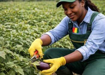 🇬🇳Agriculture et élevage : Une formation pour transformer l’idée en entreprise